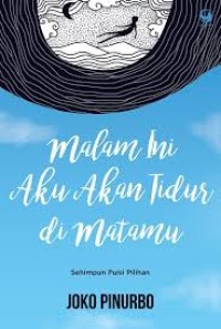 Malam Ini Aku akan Tidur di Matamu